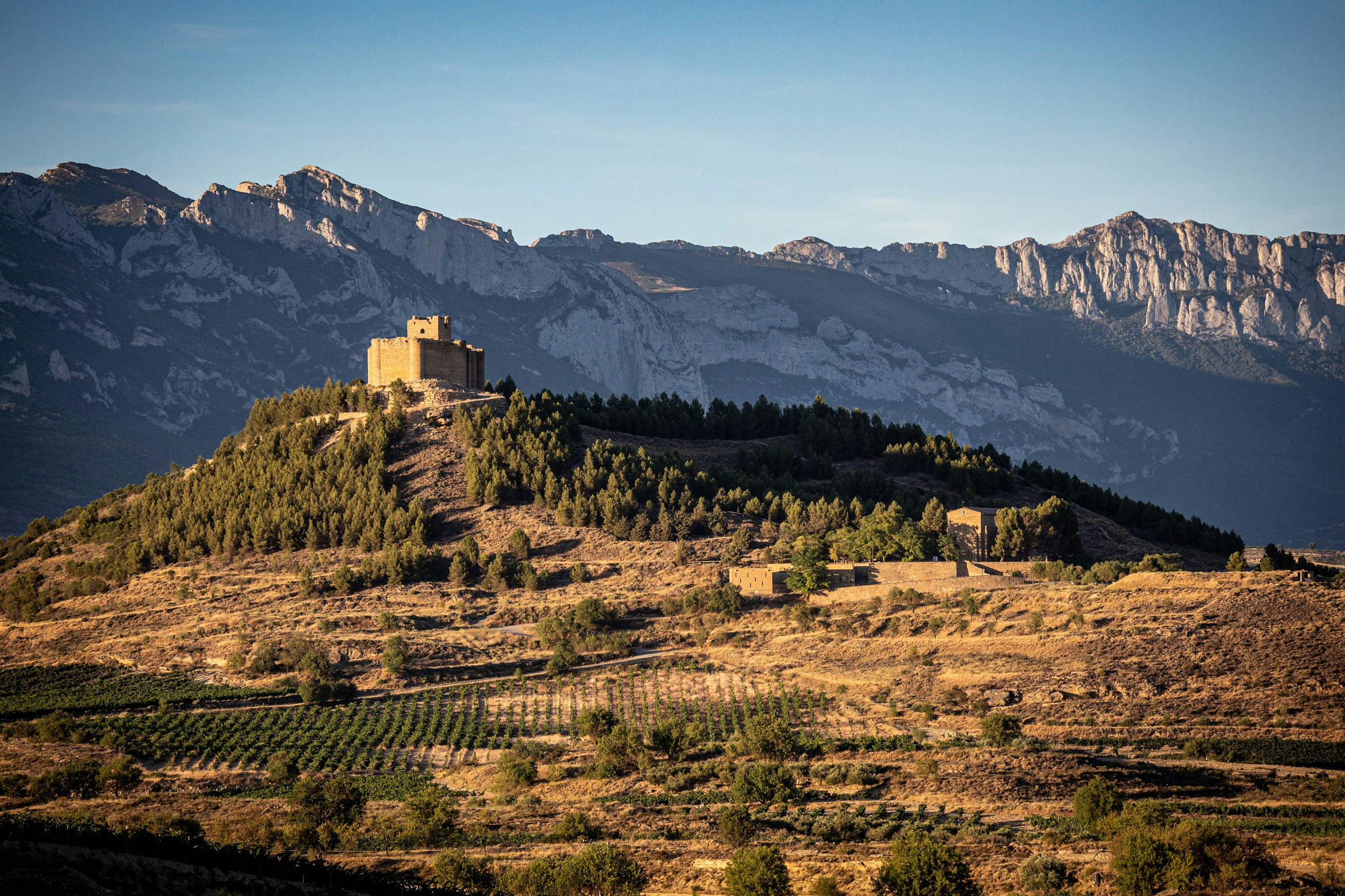 Rioja-vinmarker med de røde jordbunde og Cantabriske bjerge i baggrunden